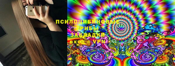 соль ск Верея