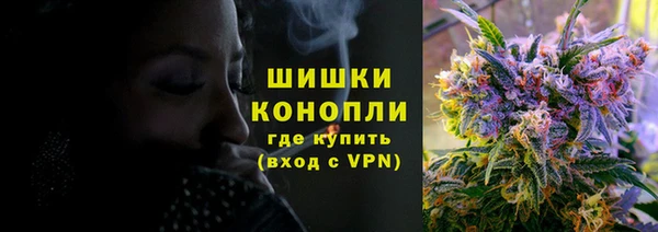 дурь Богданович