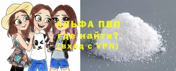 стаф Богородск