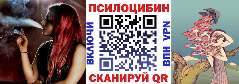 закладка  Исилькуль  нарко площадка официальный сайт  Псилоцибиновые грибы Cubensis 
